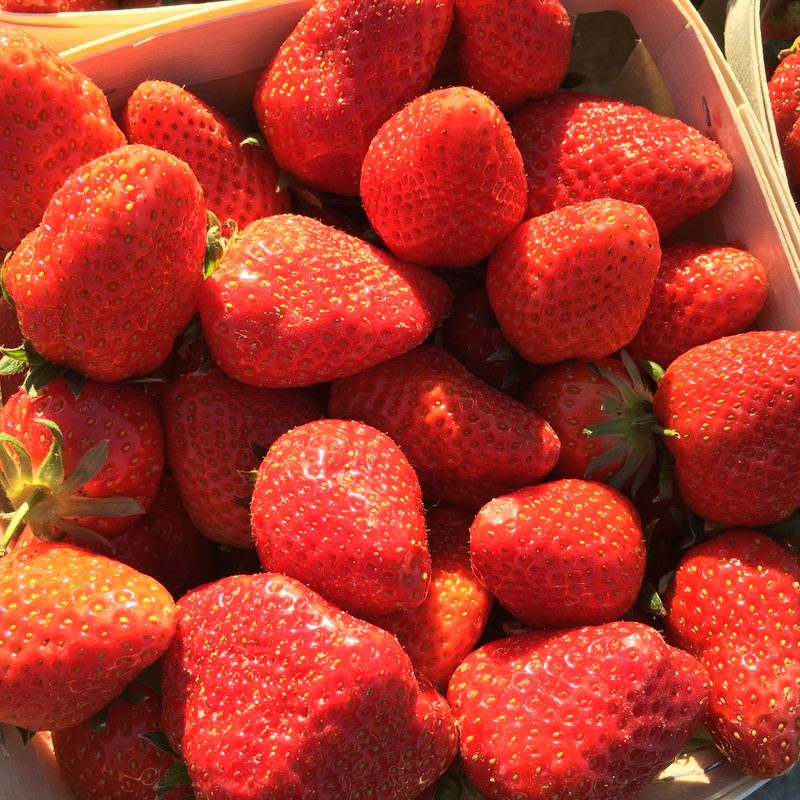 La fraise